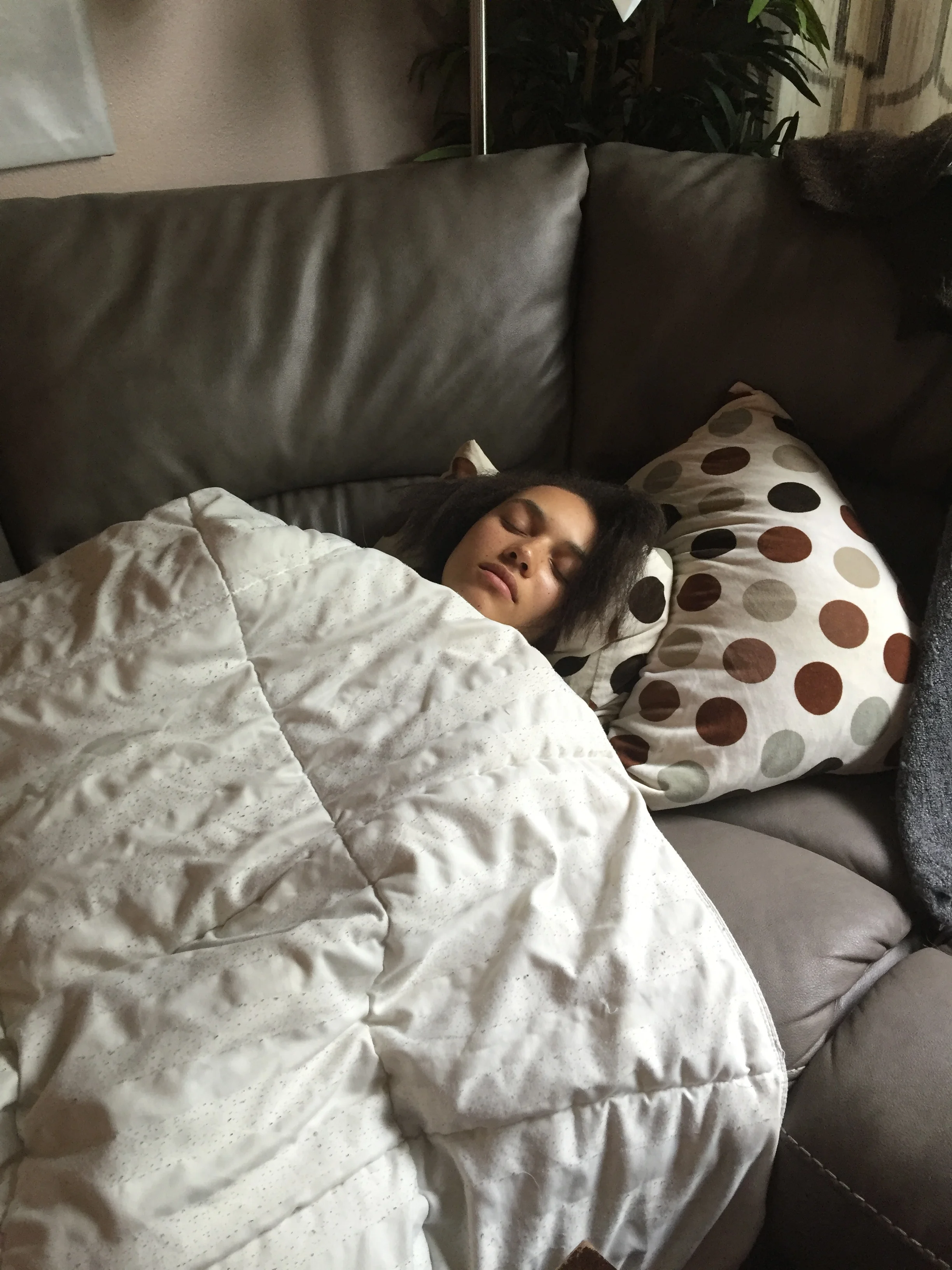 Tara's Blog - Update