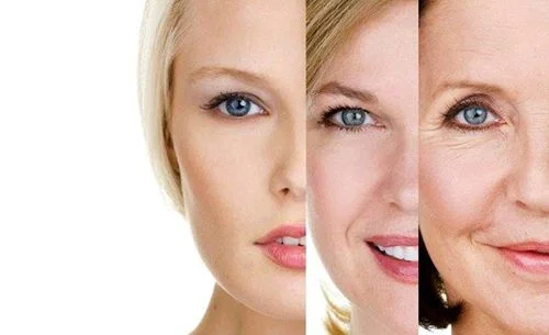 Oils and Our aging Skin