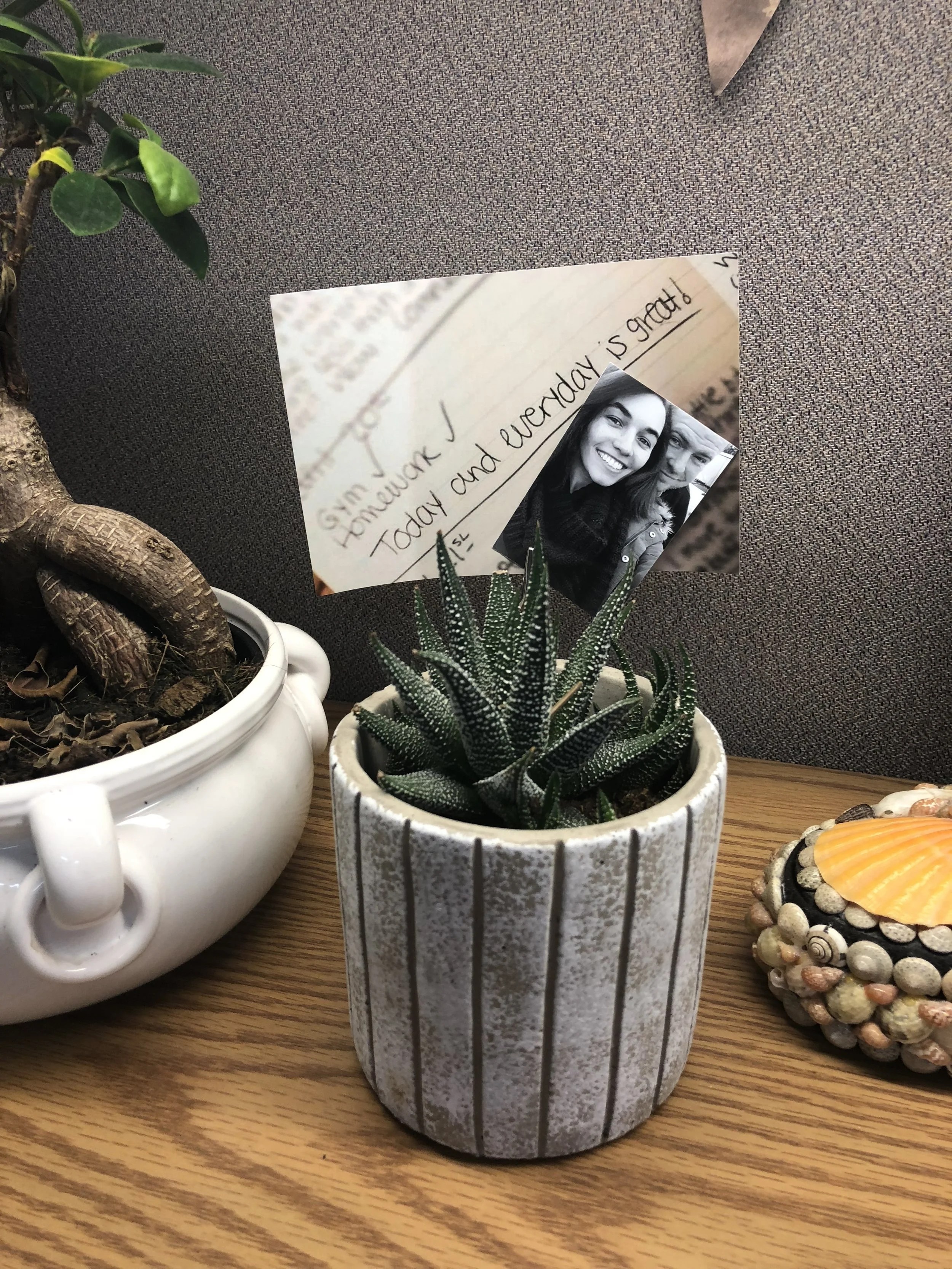 7 Pillars to Great Health