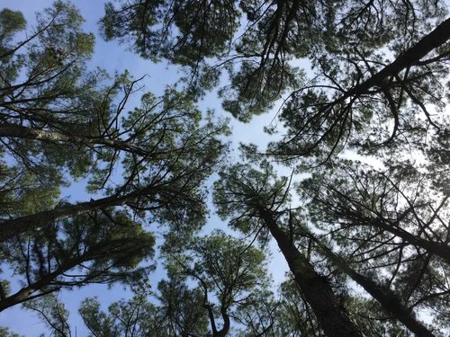 5G and What You Can Do To Protect You and Your Family