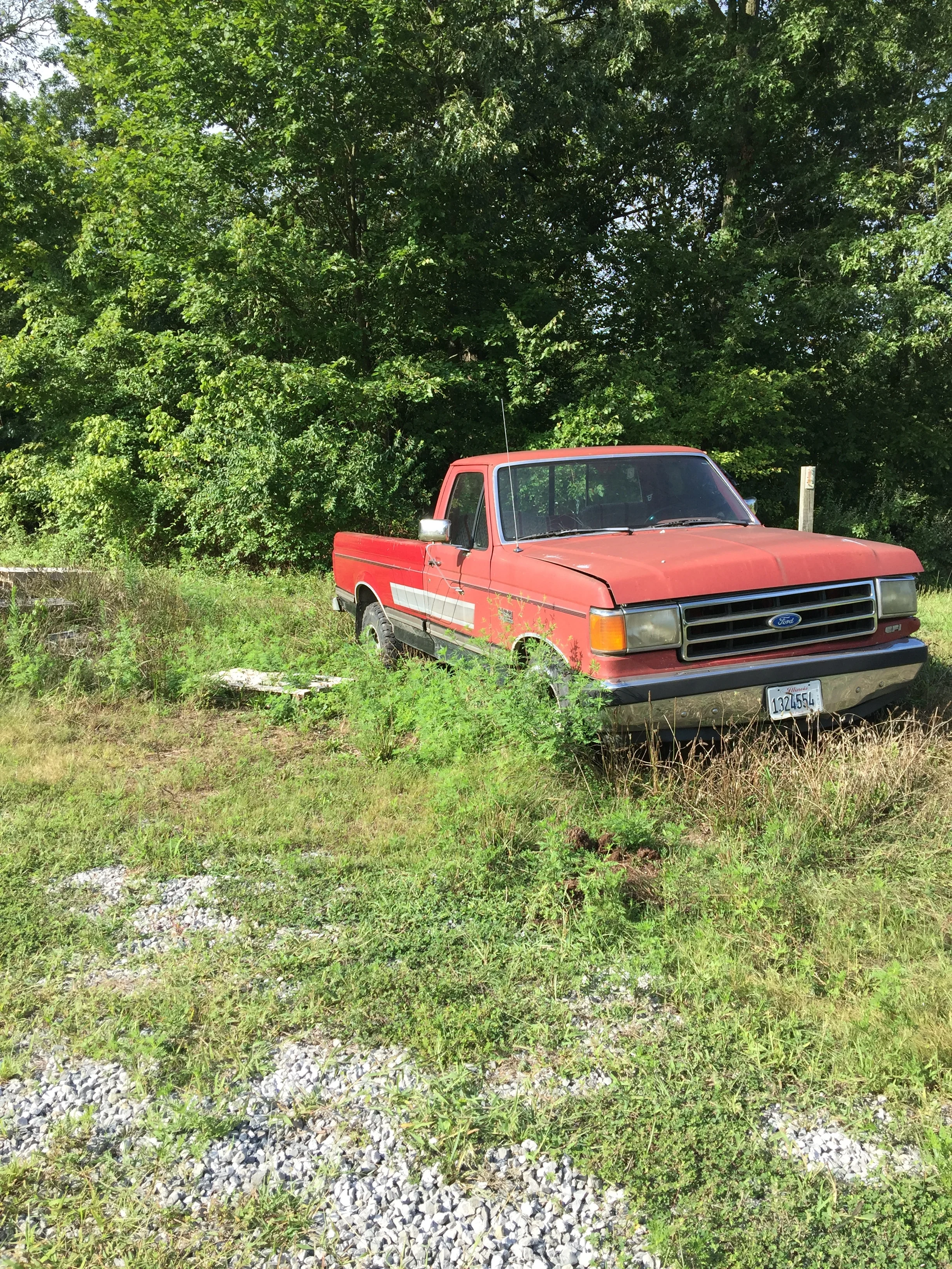 THE BODY DOES ITS OWN SPRING CLEANING