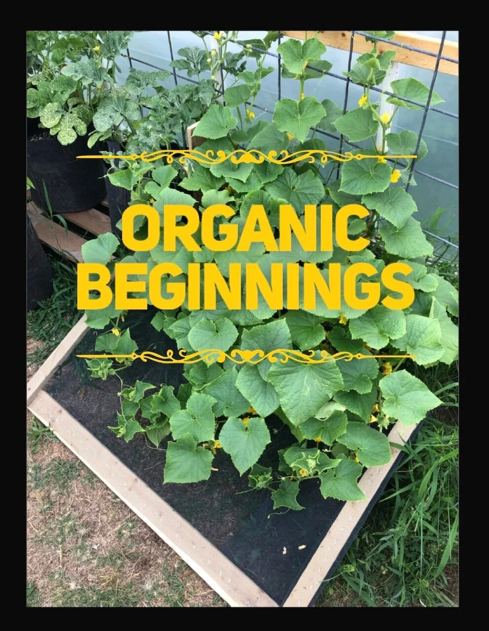 Learning Your Organic Beginnings