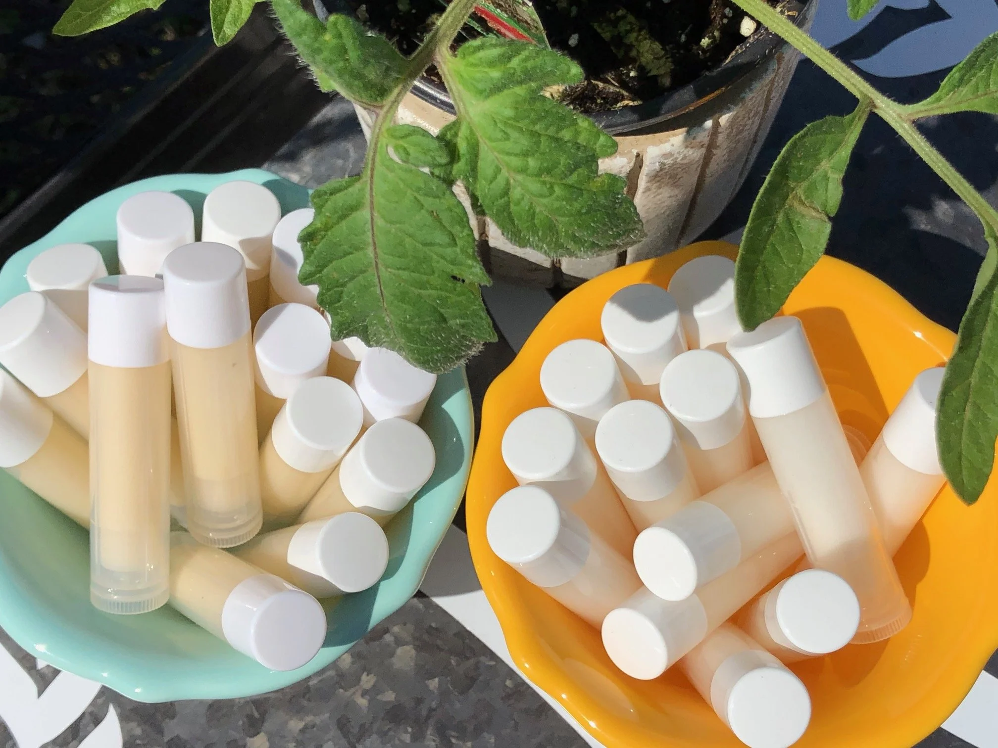 Lip Balm and Lip Shine!