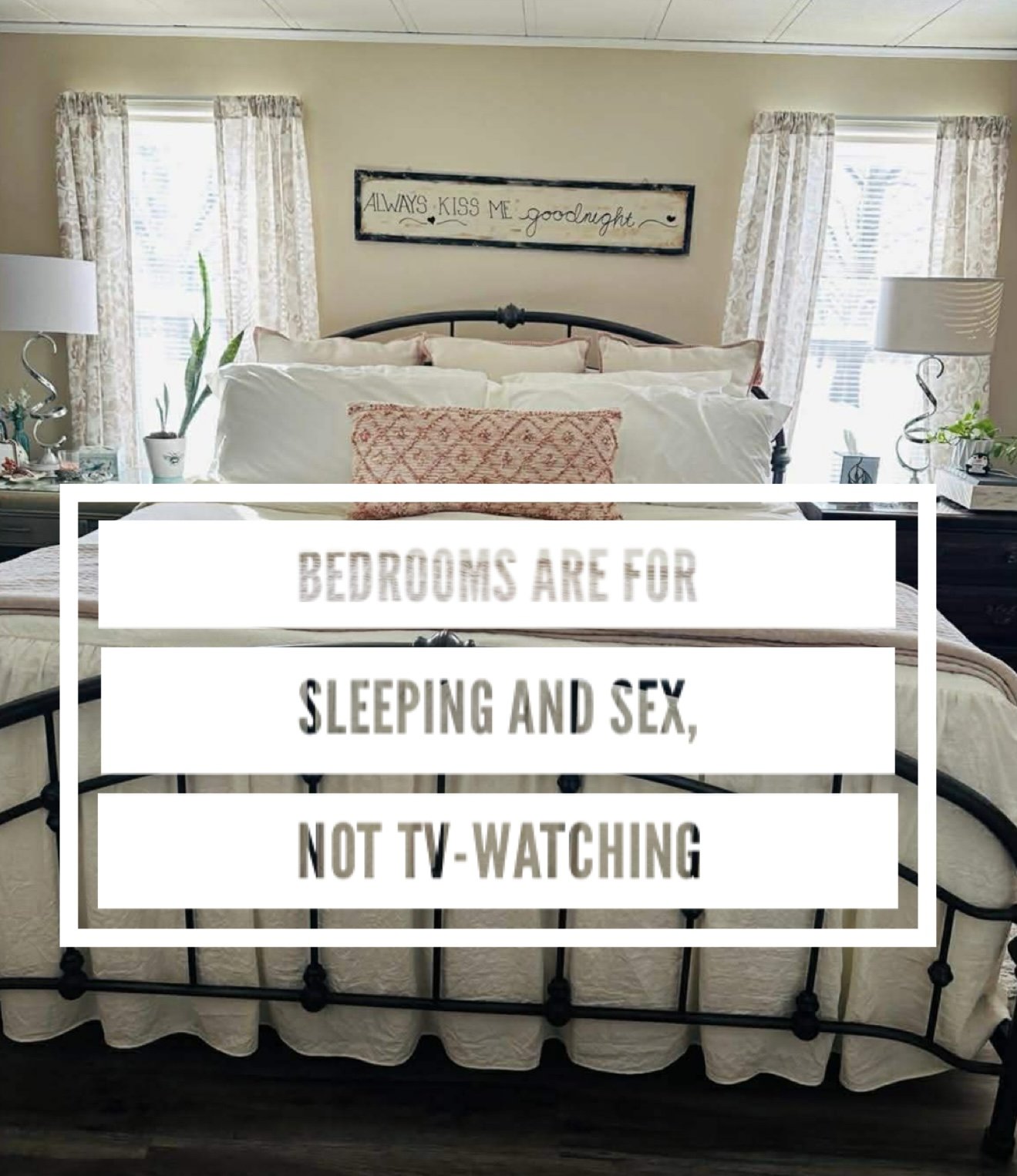 Bedrooms are for Sleeping and Sex, Not Tv-Watching