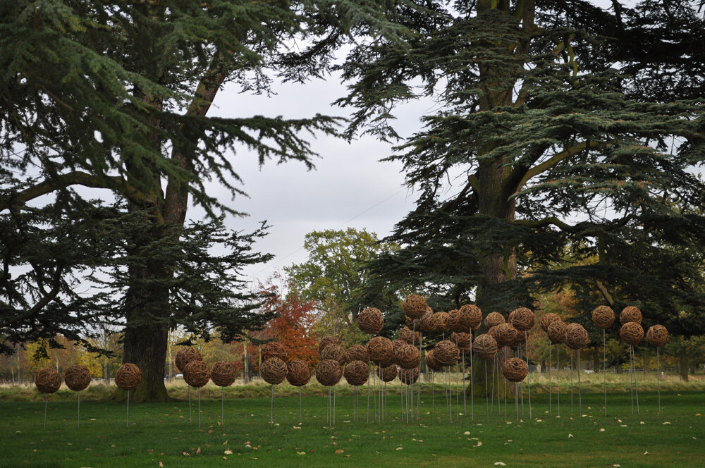 Rachel Carter - Allium installation.jpg