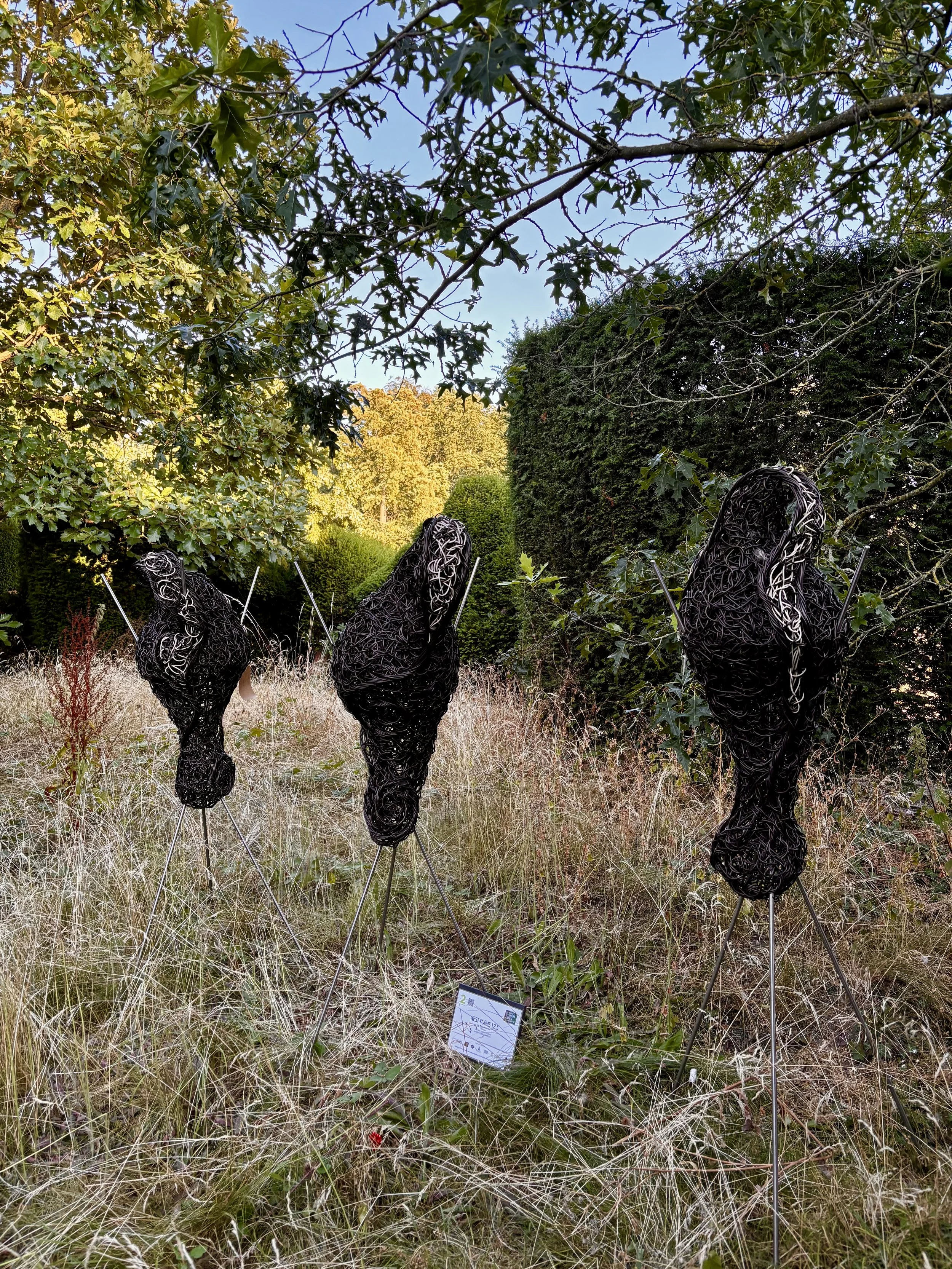 Trio of Nest Forms