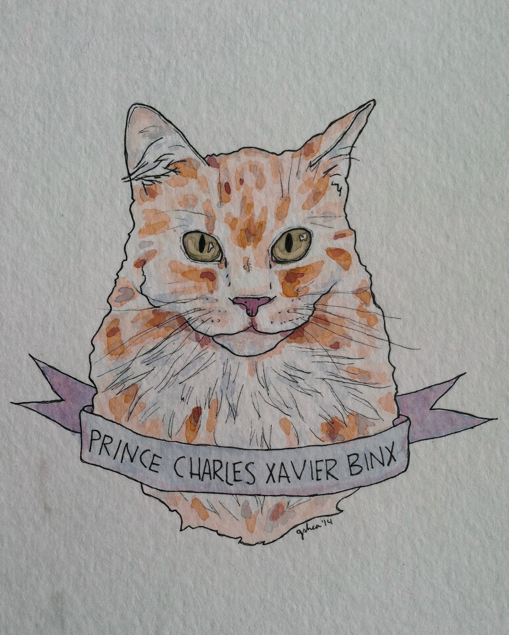 Prince Charles Xavier Binx