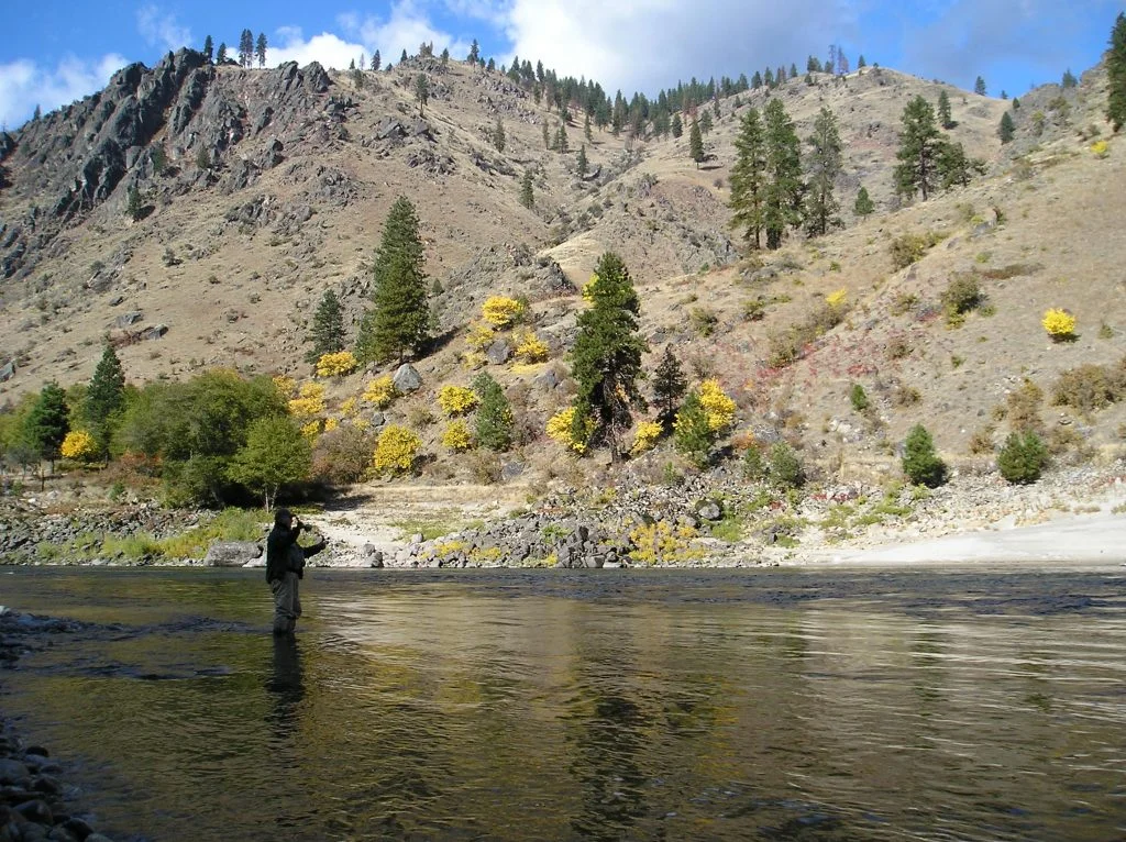scenic-salmon-river-fly-fish-portrait-1024x766.jpg