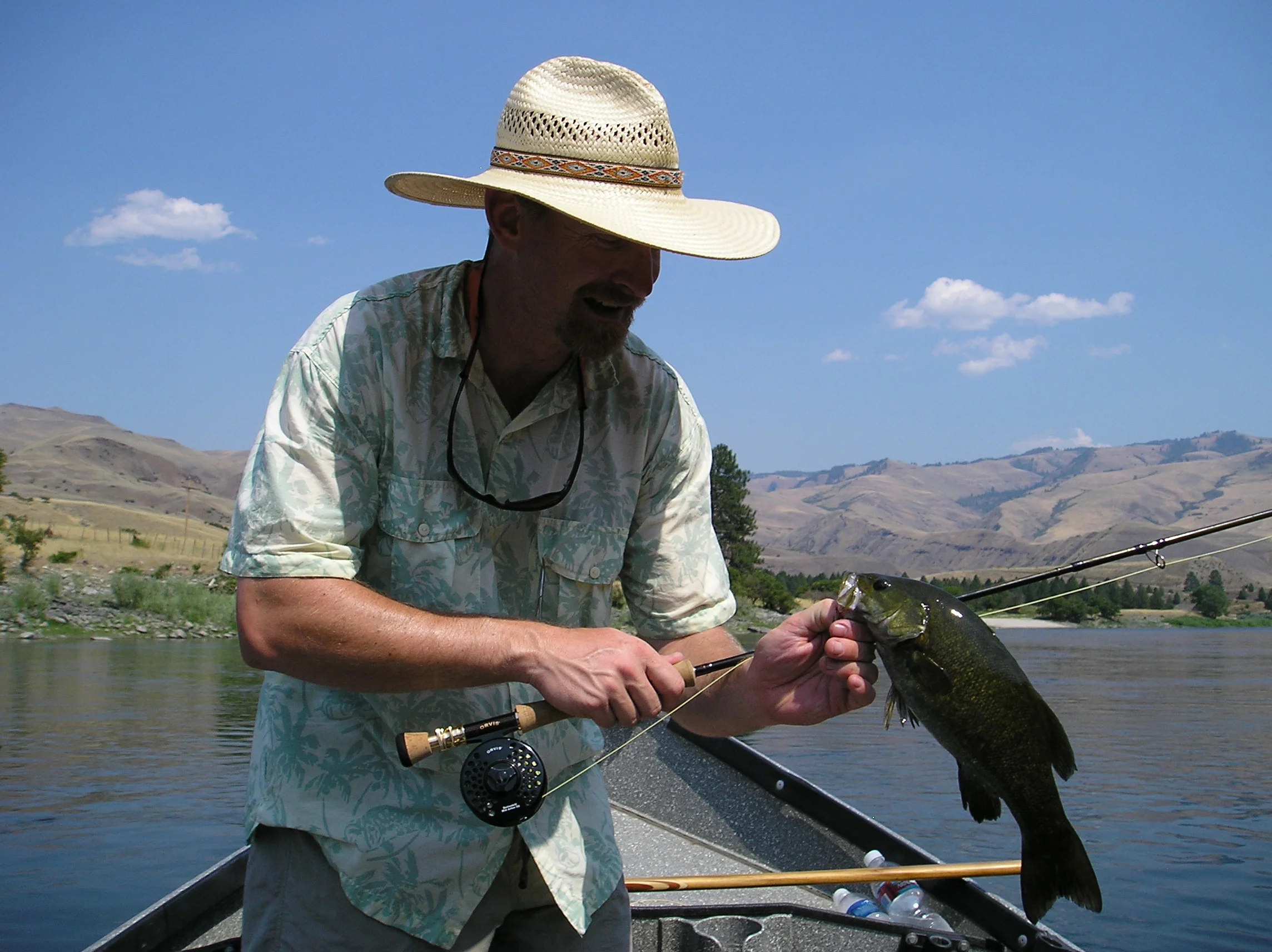 Bass These fish are a fun, predatory fish that can be found across Idaho. Some of the best experiences in immersive fishing can be found in bass fishing.