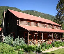 Wapiti.jpg