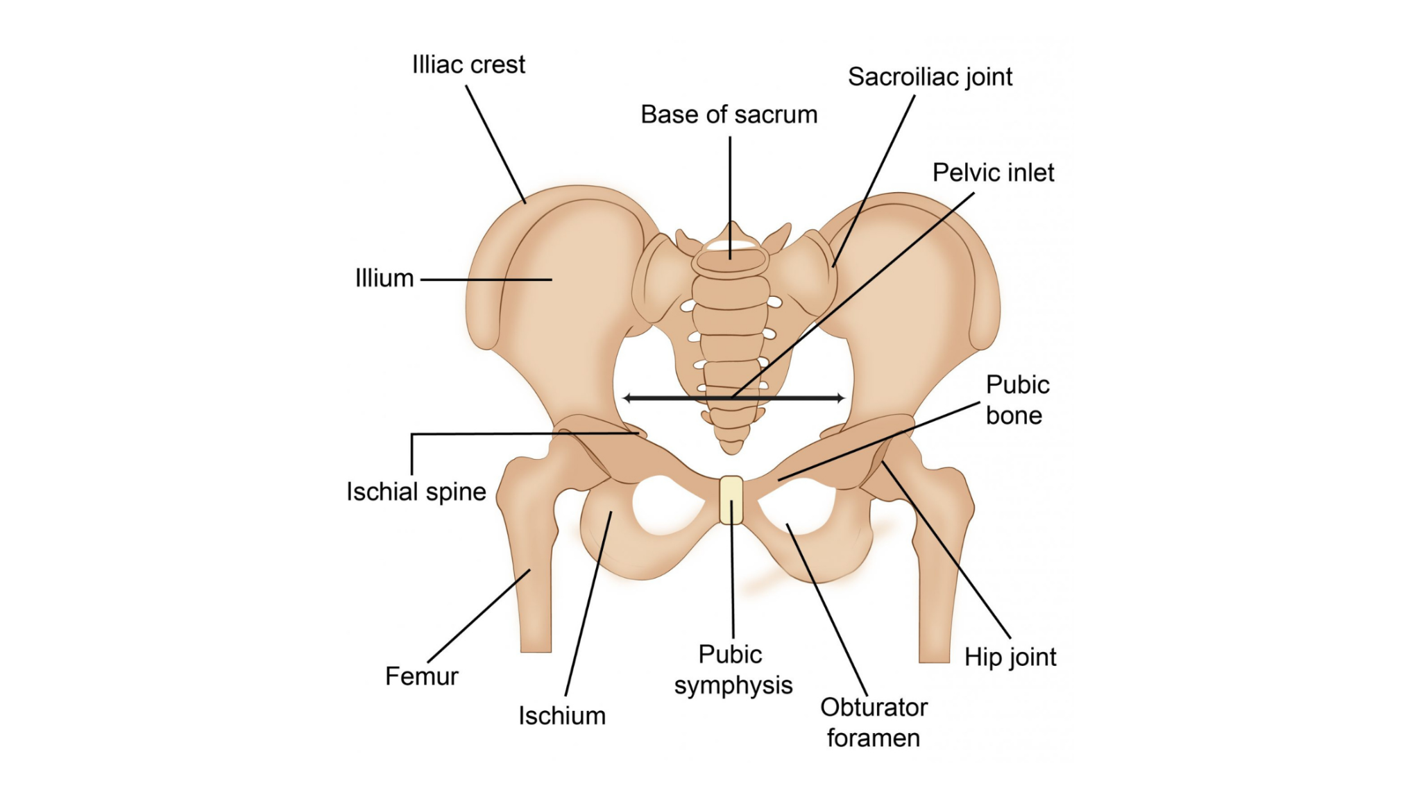 Hip Dips What Are They, And The Exercises To Reduce Their Appearance