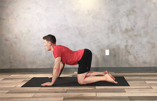 Traction exercises for lower back new arrivals