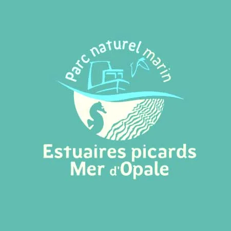PICARDS-V02.jpg