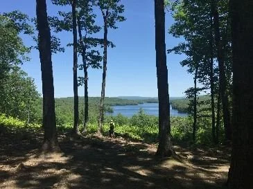 Blue in Concord, NH?