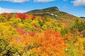 Foliage Season Hacks to get the Best Colors