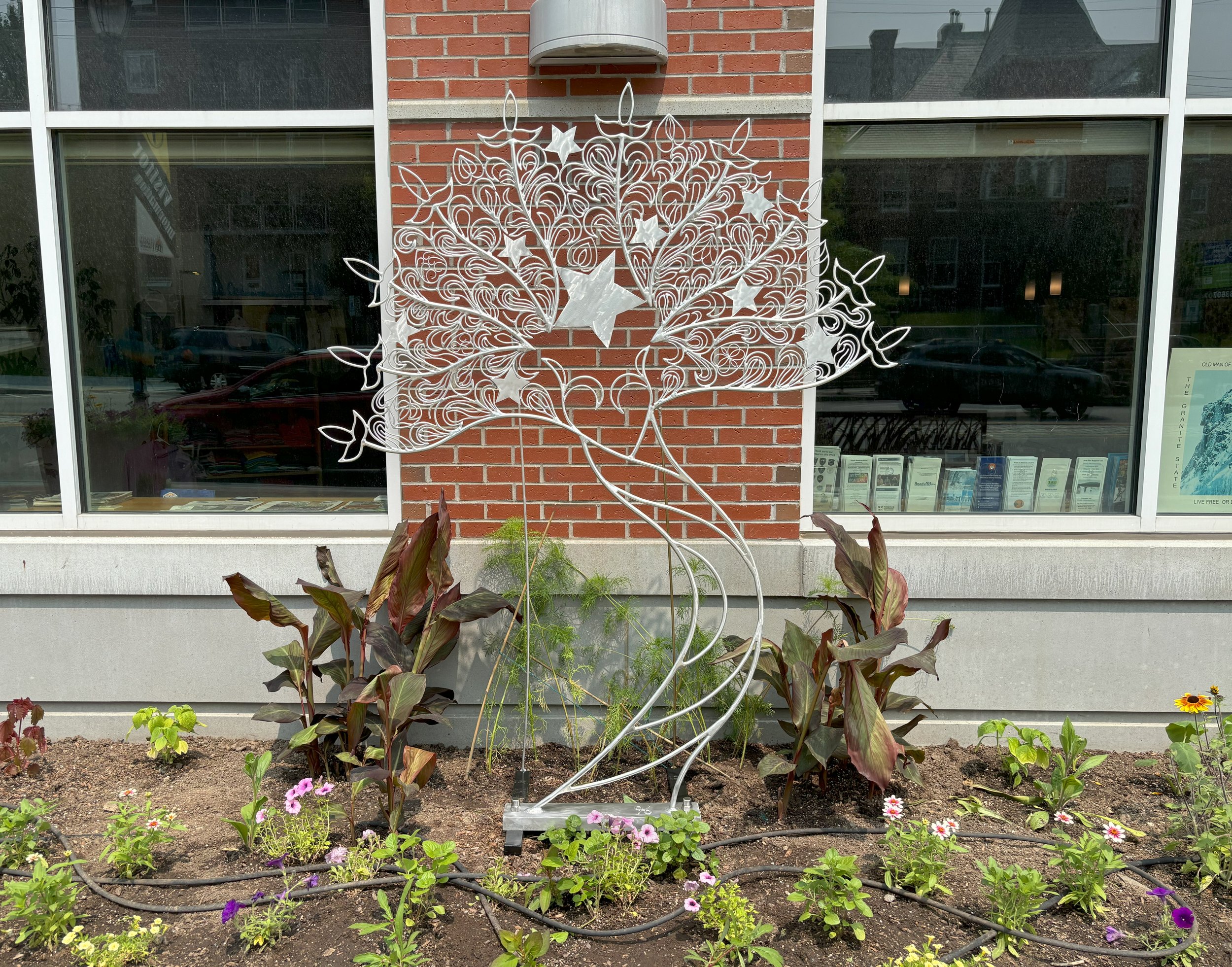 <b>Star Shadows</b> · Bruce Hathaway