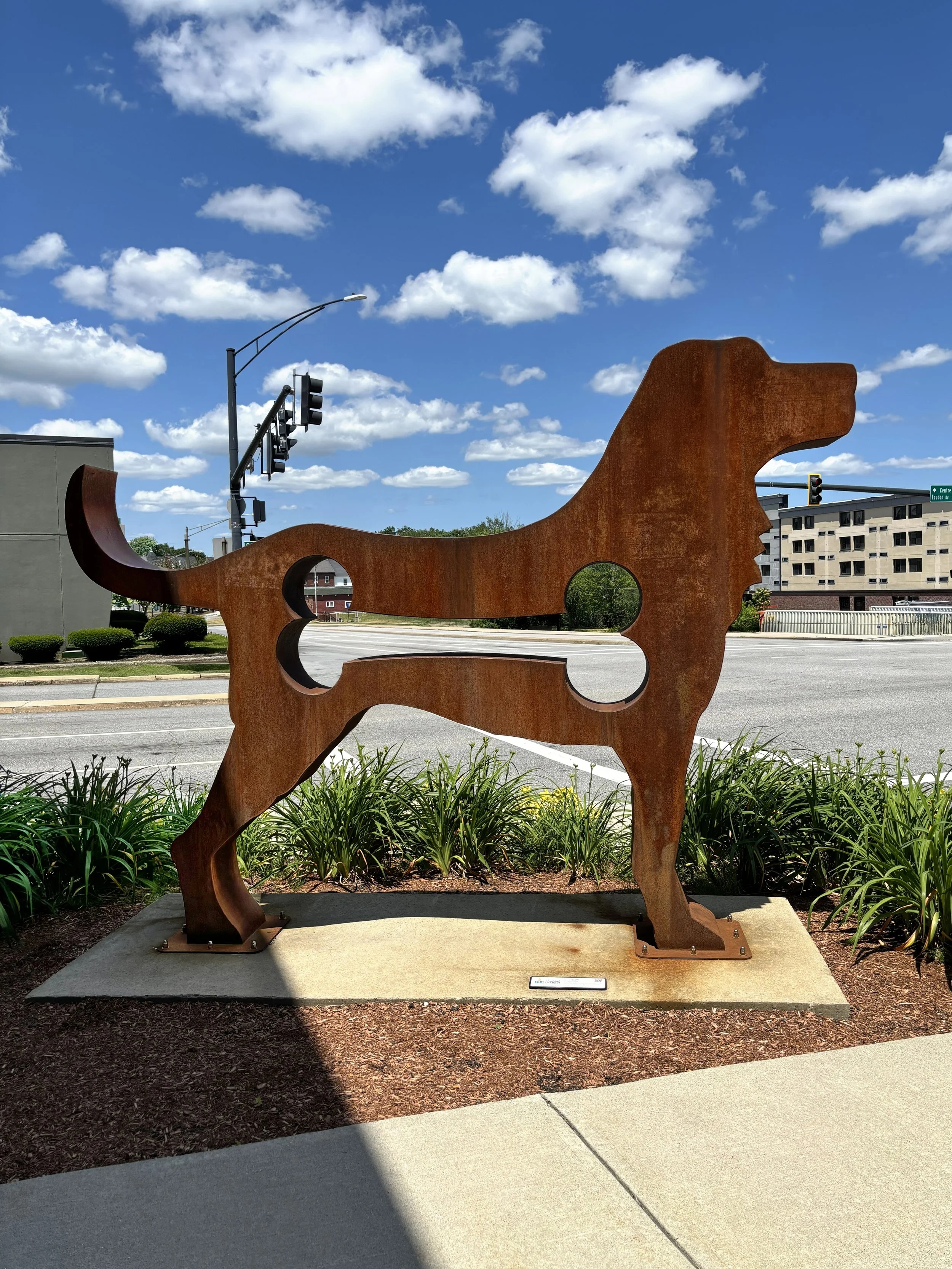 <b>American Dog</b> · Dale&nbsp;Rogers