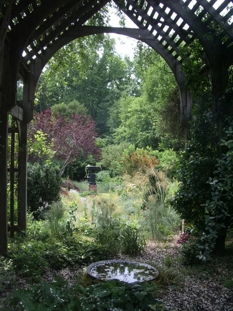Image 55.jpg