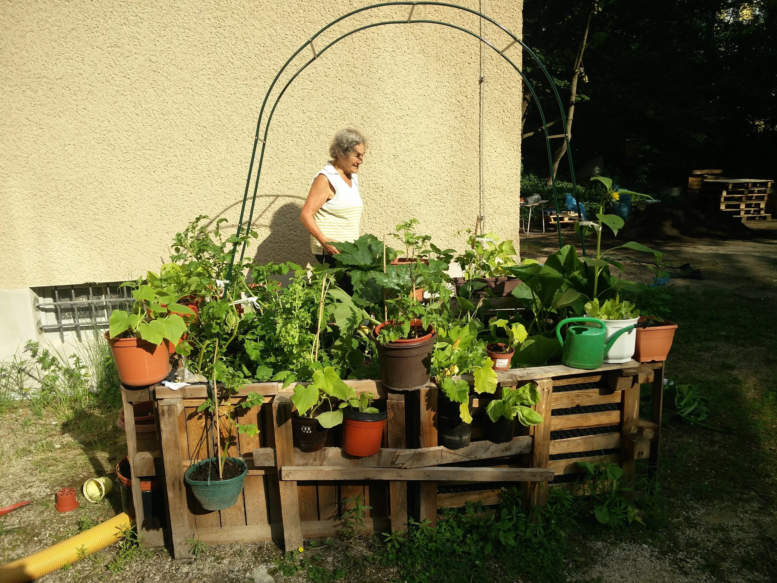 Urban Community Gardening