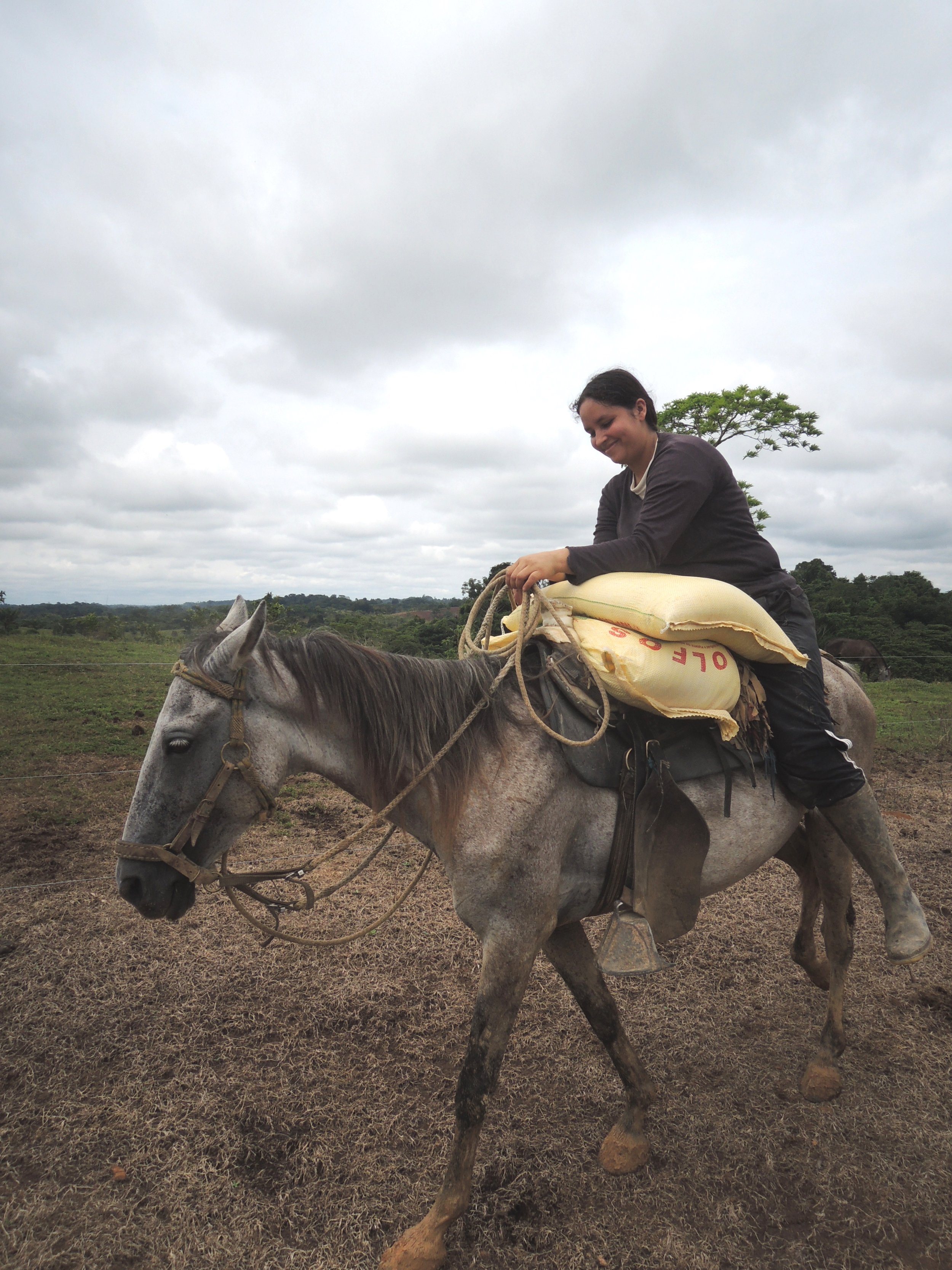 A farmer in Colombia. Shot in Caquetá, Colombia by David Landholm 