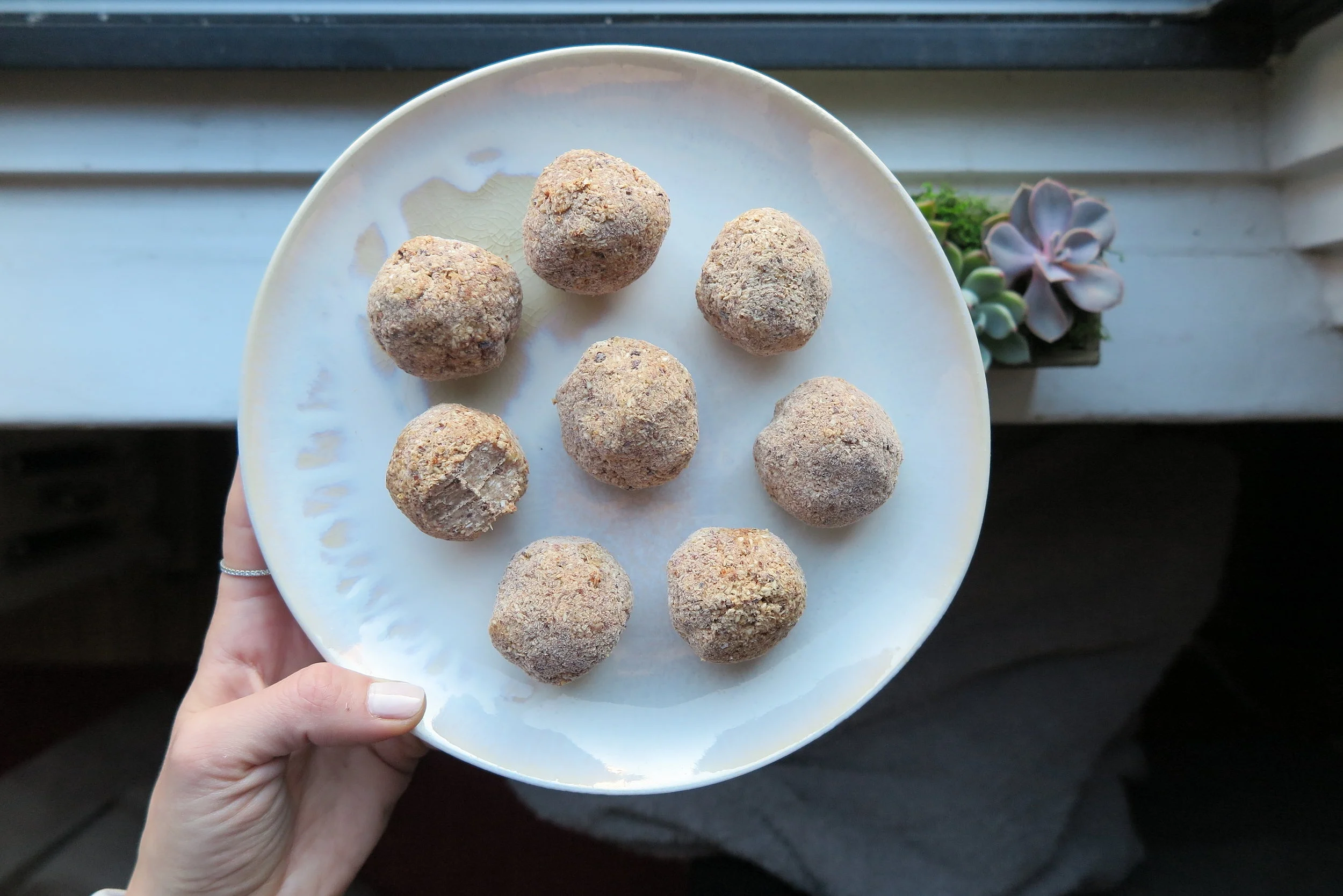 Coconut Fat Balls