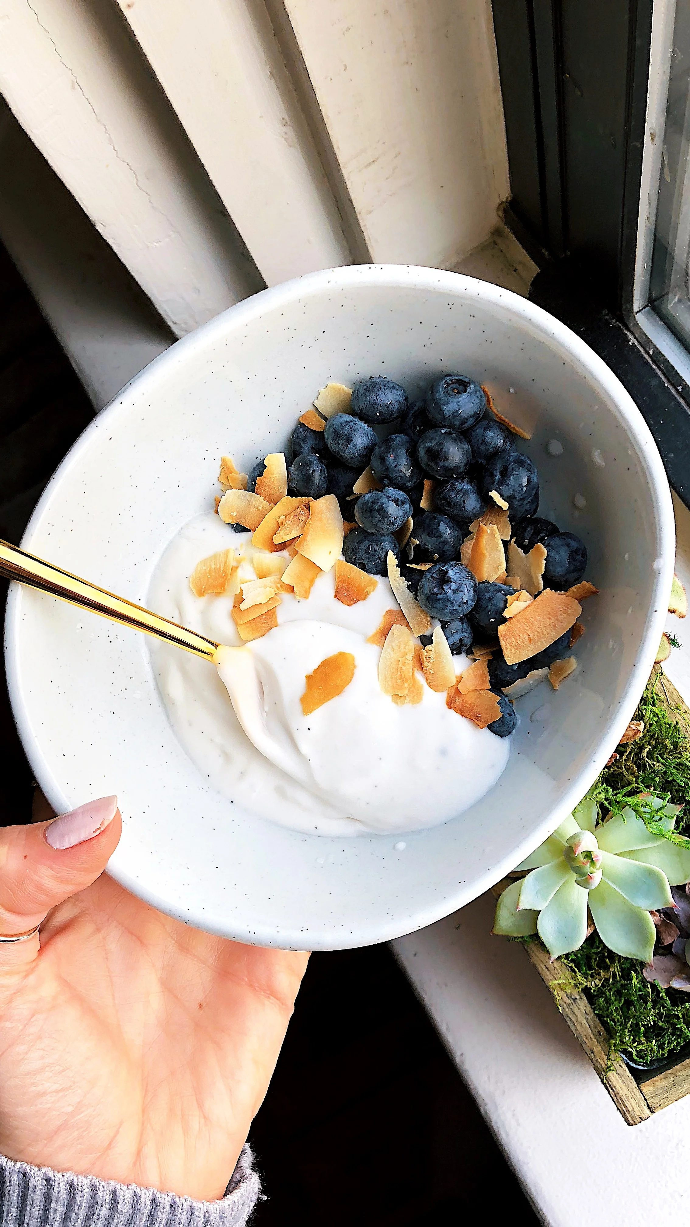 2-Ingredient Coconut Yogurt 