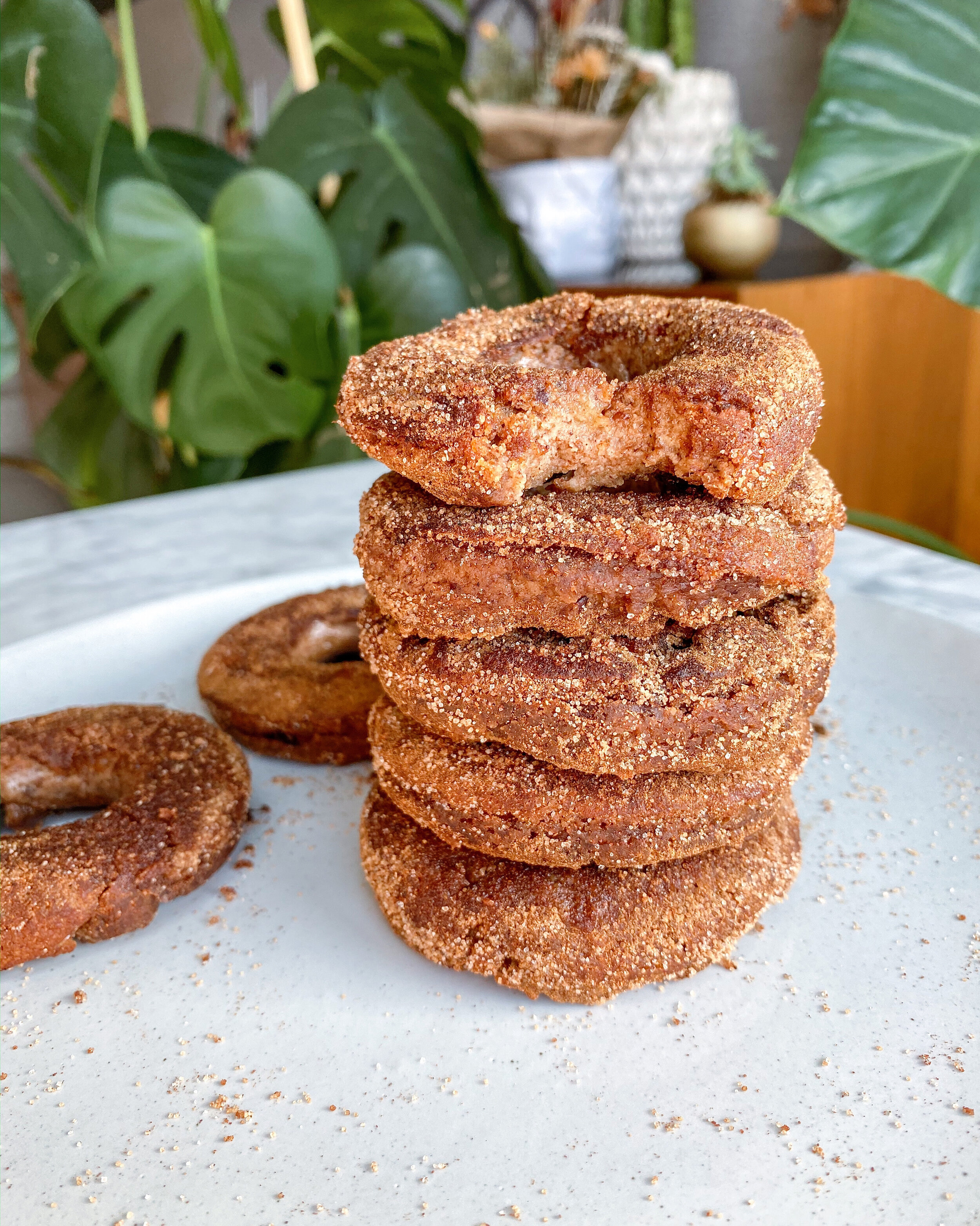 Healthy Baked Cinnamon Donuts