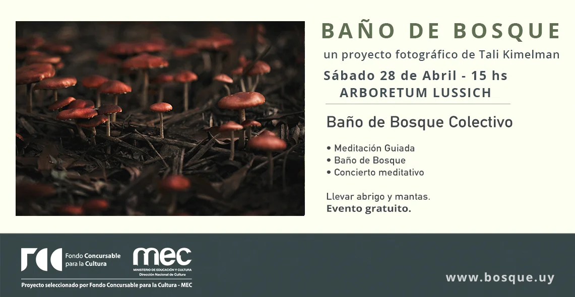 BañoBosque_Abril.jpg