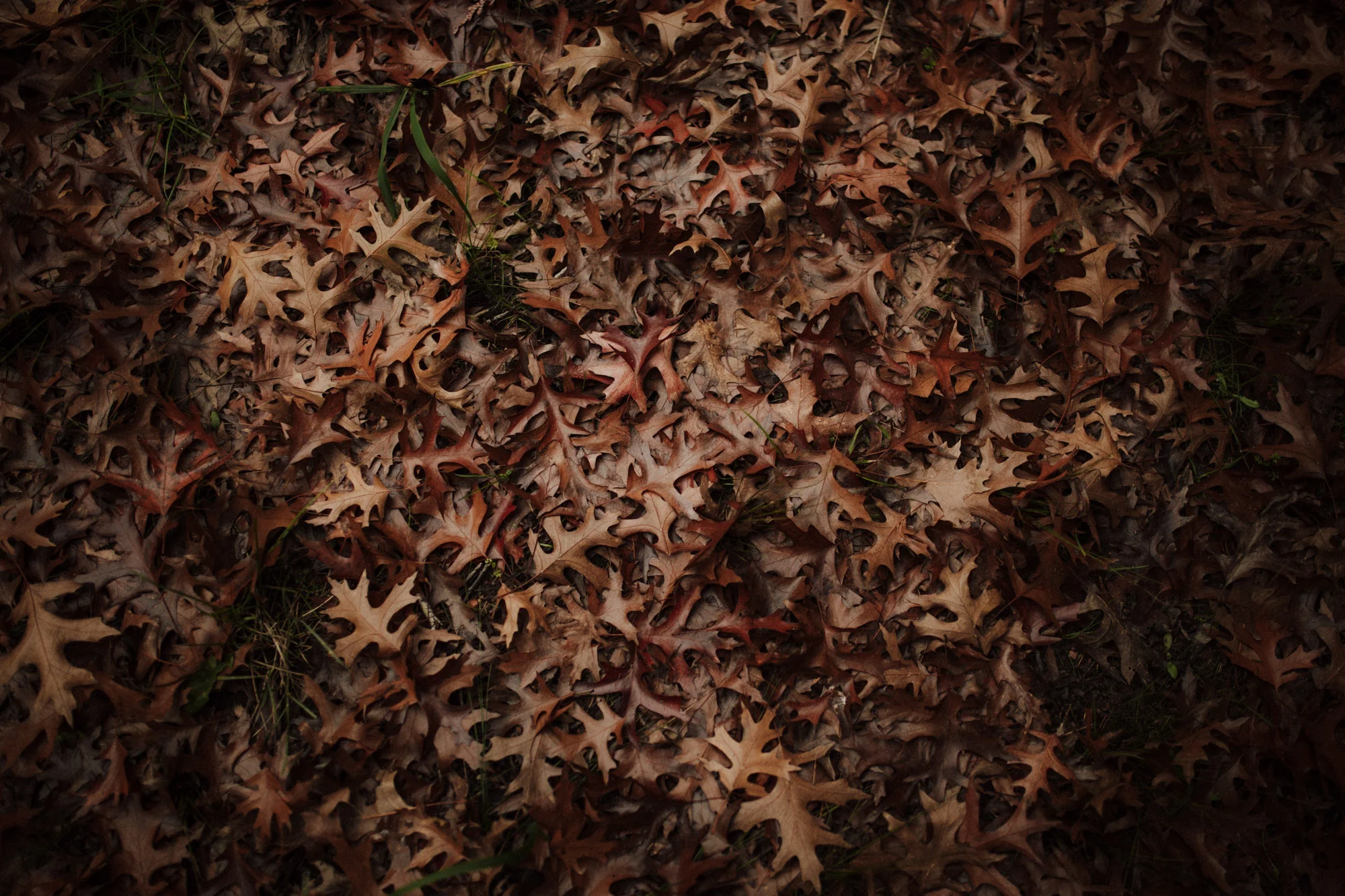 _UD_0024.jpg