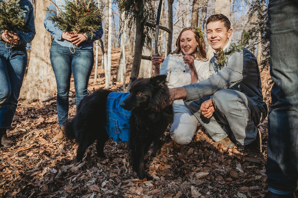 getting the rings from the dog ring bearer