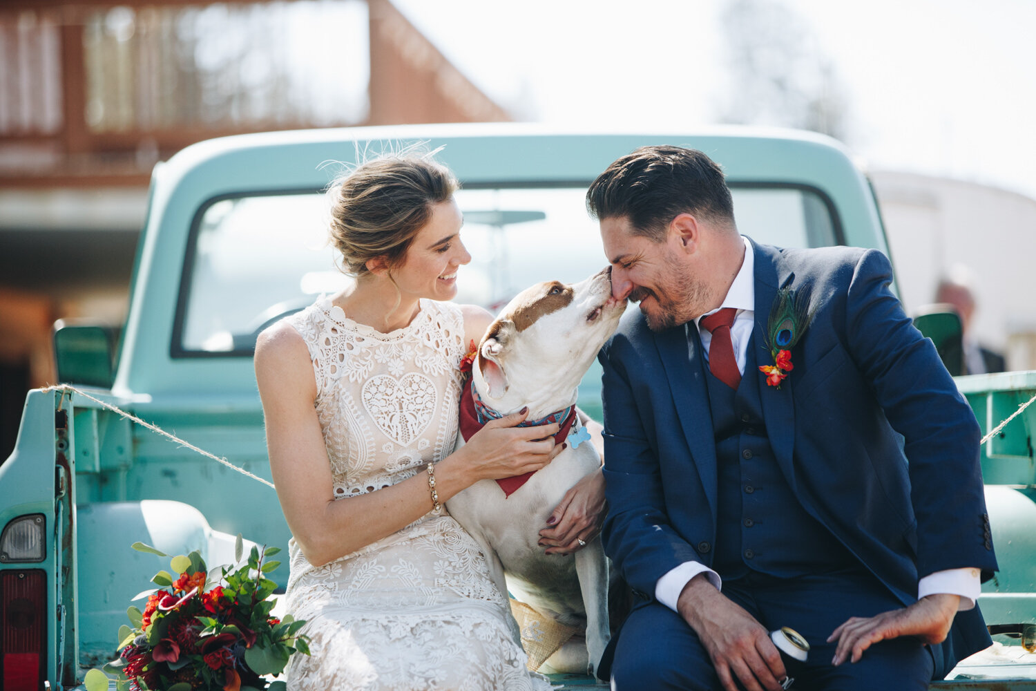 bride and groom sitting in their vintage truck with their dog. Their dog is licking the grooms nose