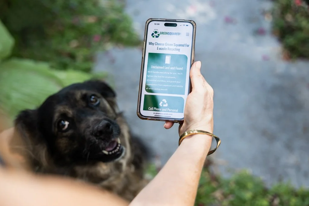 woman holding cell phone showing company website contact us page with cute dog looking up at her