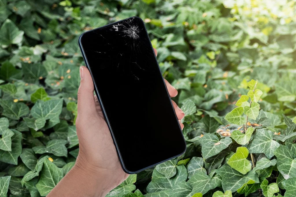 Cell phone held in front of green foliage for custom electronics recycling website photography.