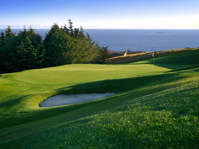 bodega harbour golf.jpg