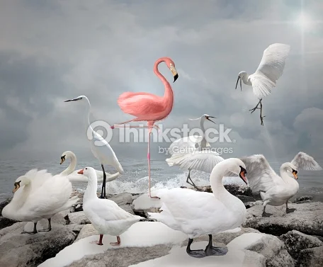 Sample Post 2