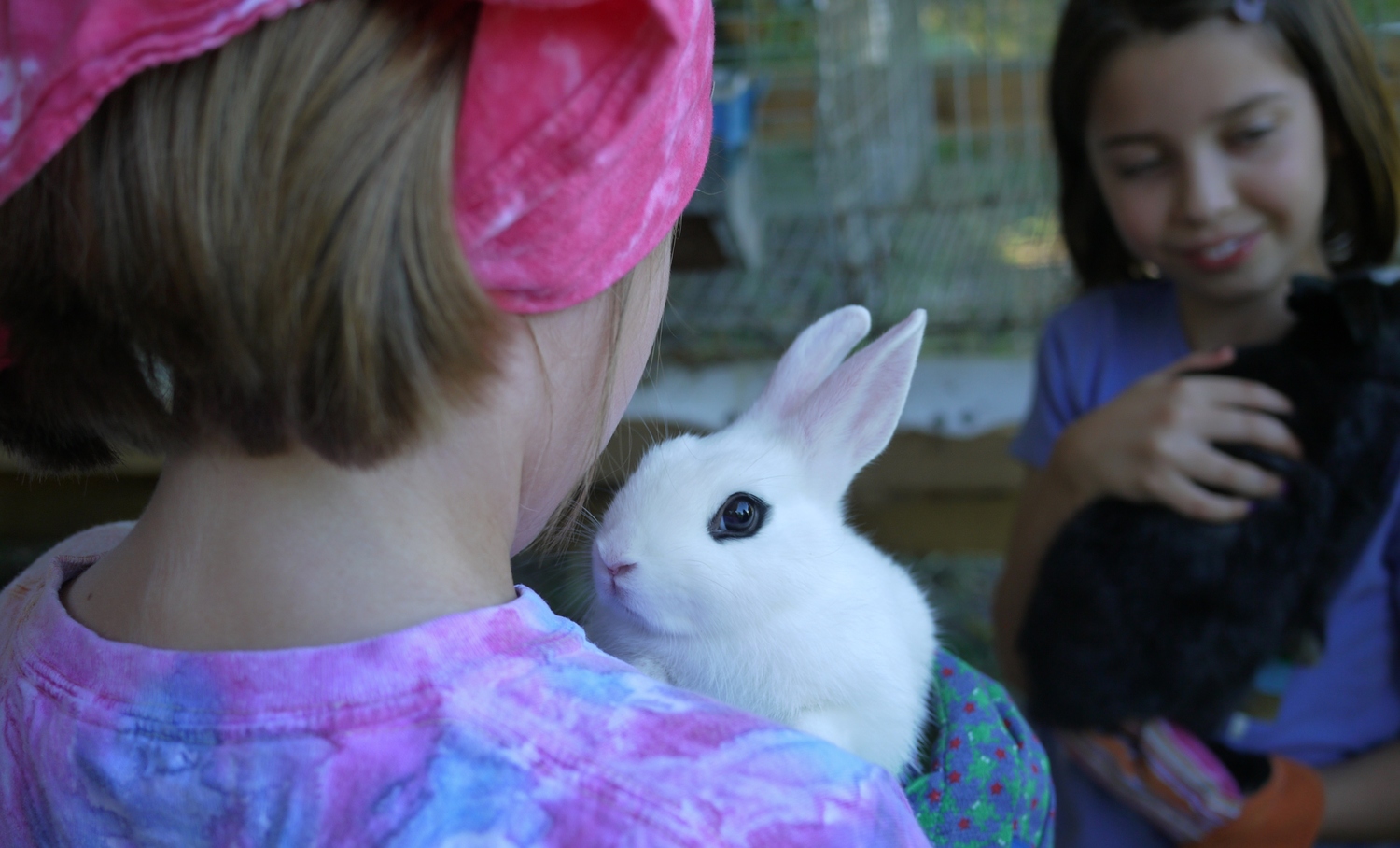 Hands-on rabbit farm experience