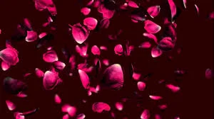ROSES images.jpg