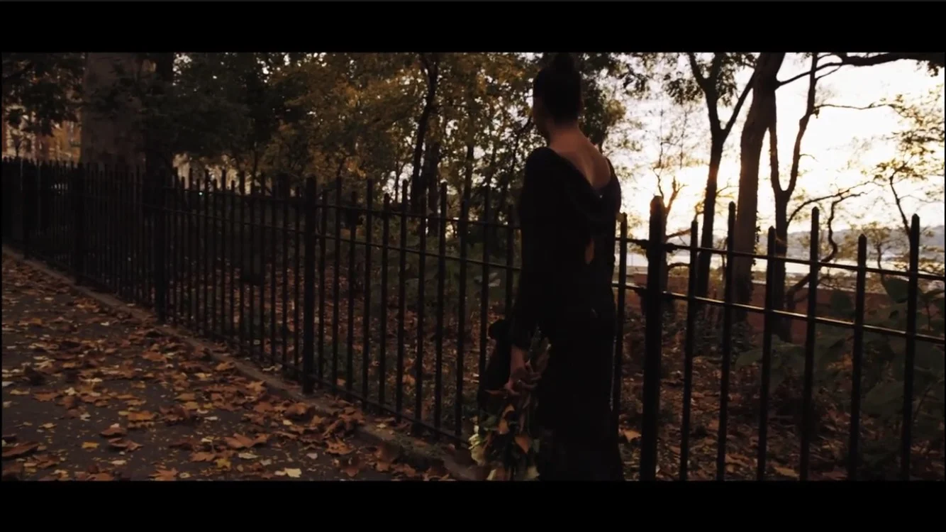 dosw6.png
