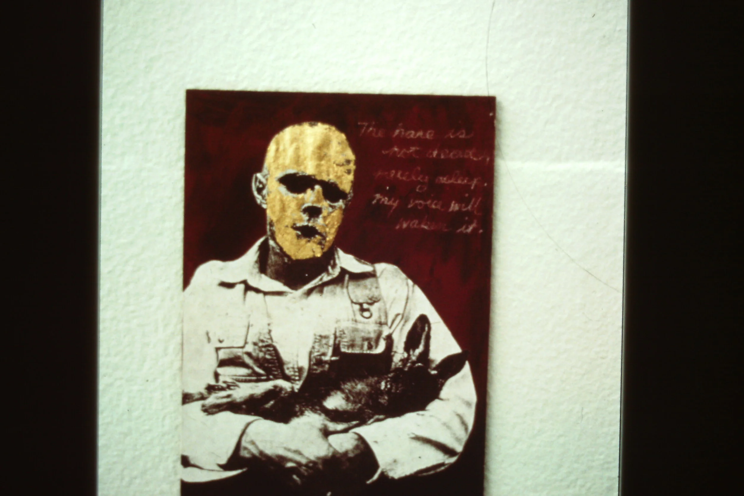 Quicksilver Coyote.JPG