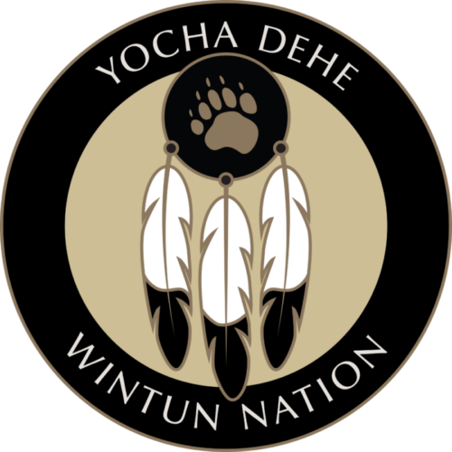 YDWN_Seal_RGB_Out-e1740779711820.webp