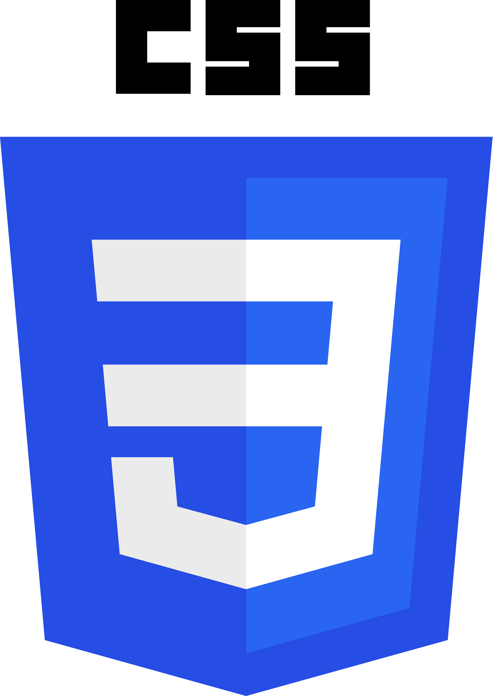 CSS logo.png