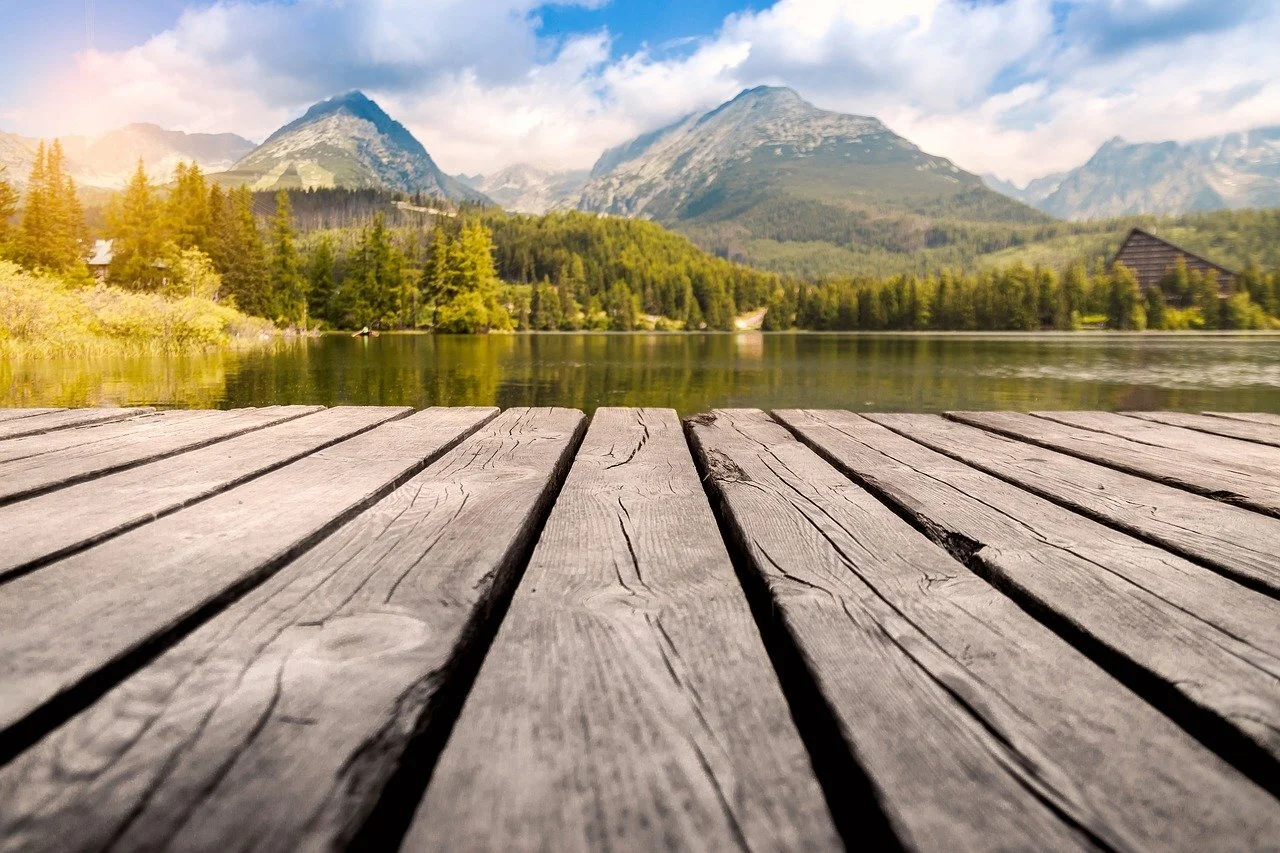 background-2455710_1280.jpg