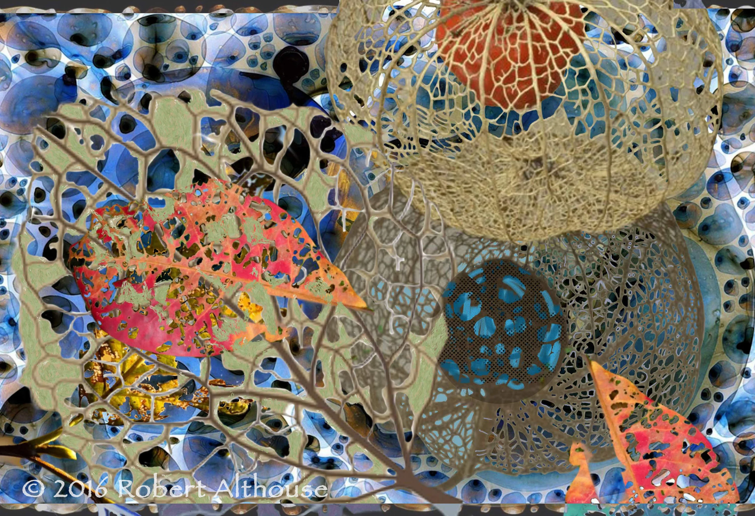 11_001-web-ps.jpg