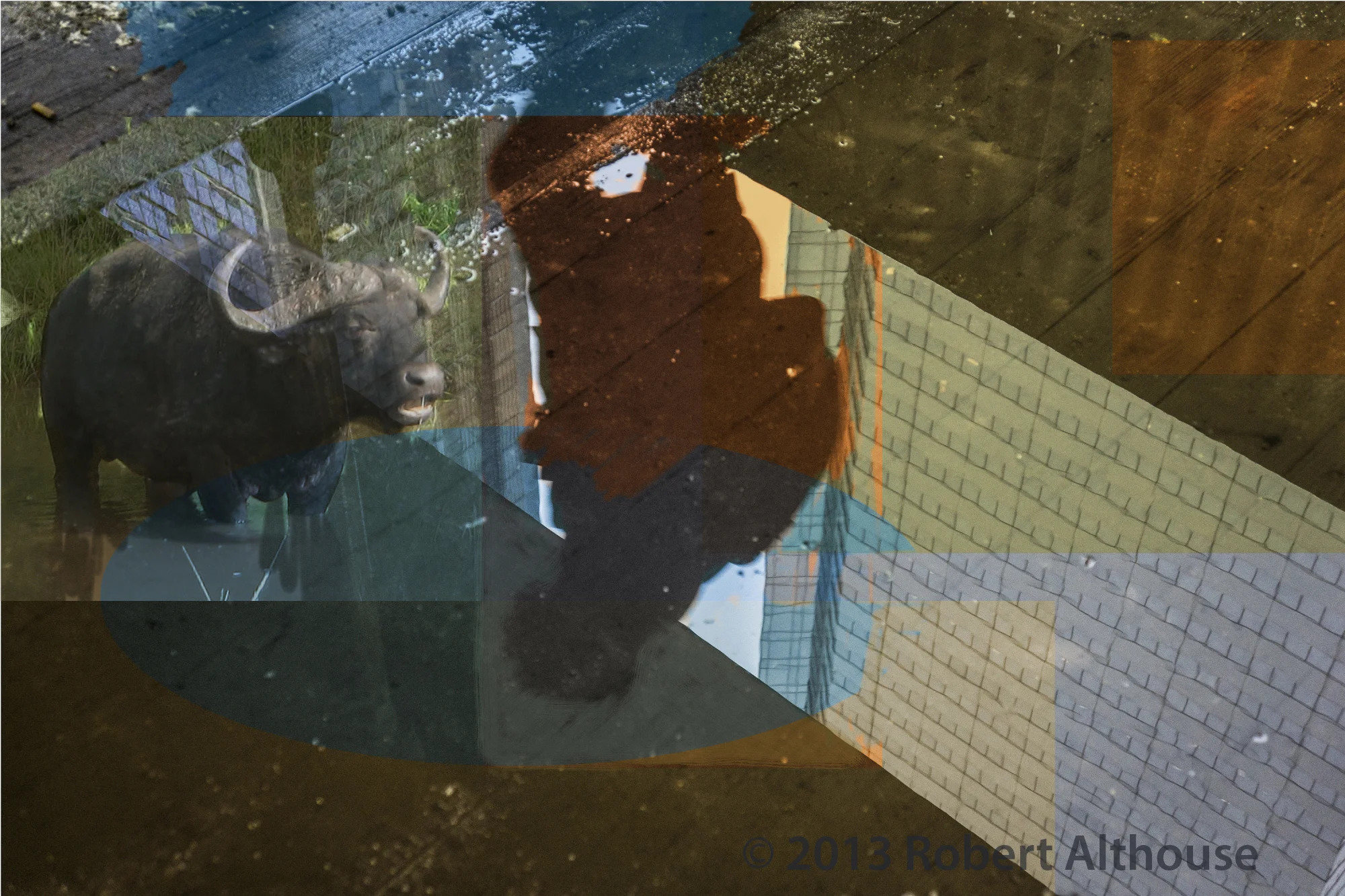SO-35d-web-ps.jpg