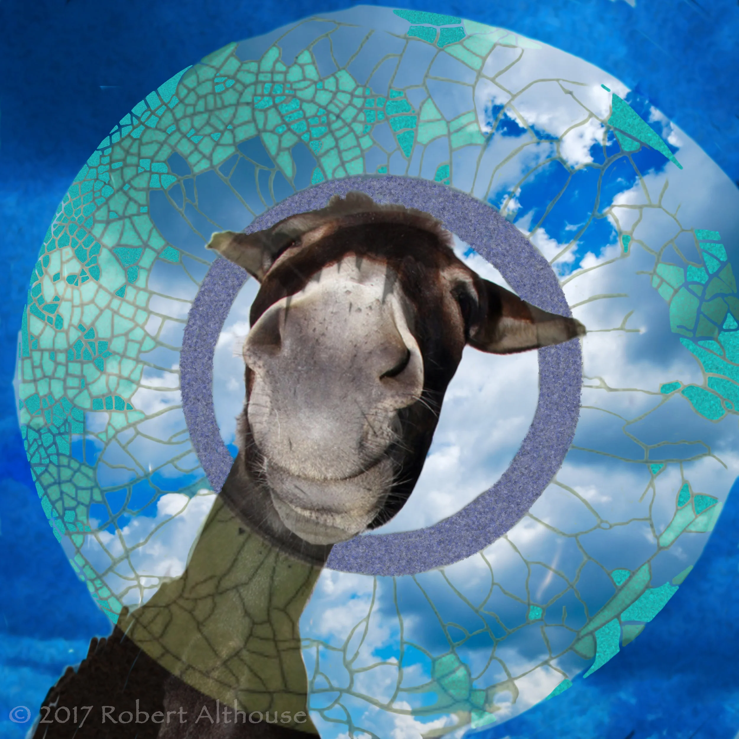 05-web-ps.jpg