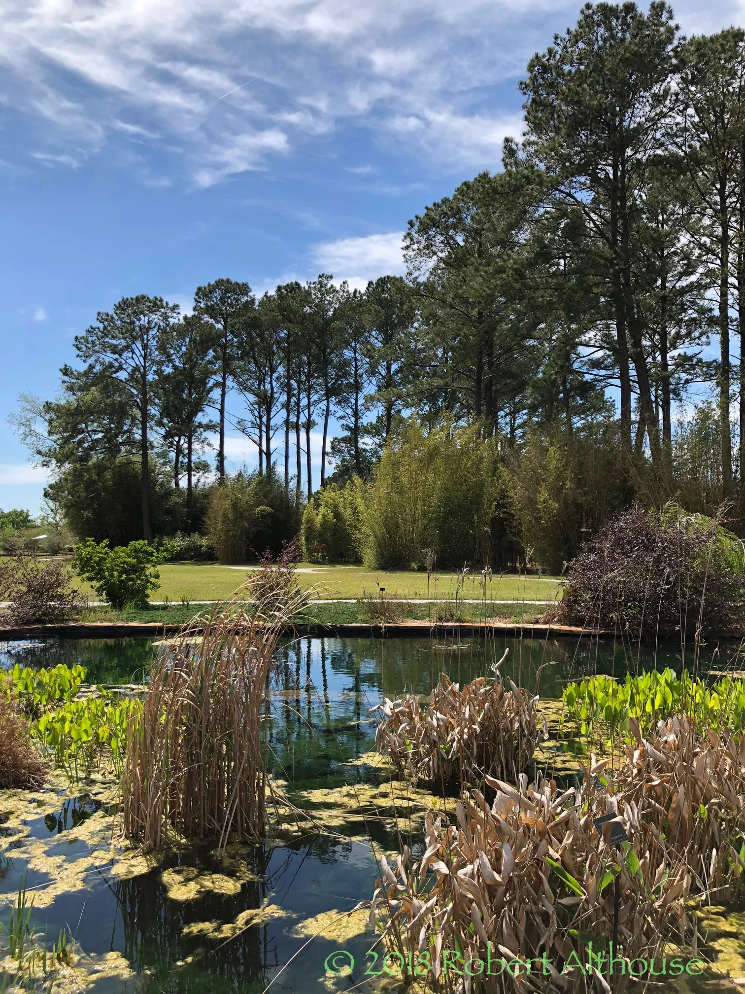 Coastal Georgia Botanical Garden
