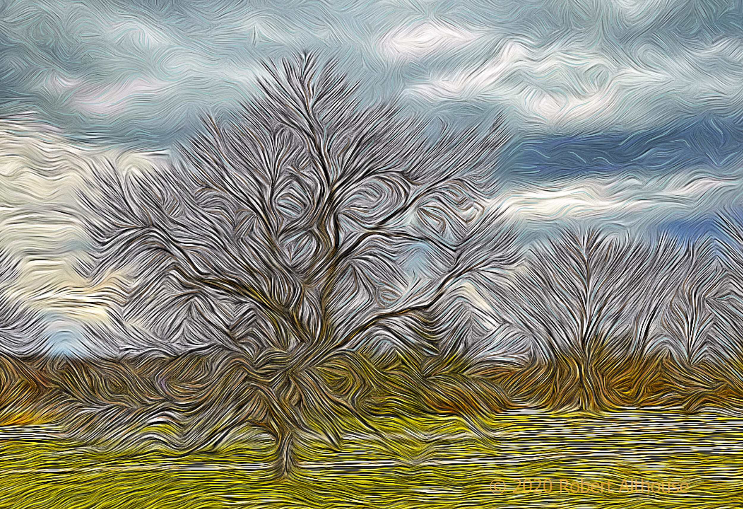 Morton Arboretum, IL