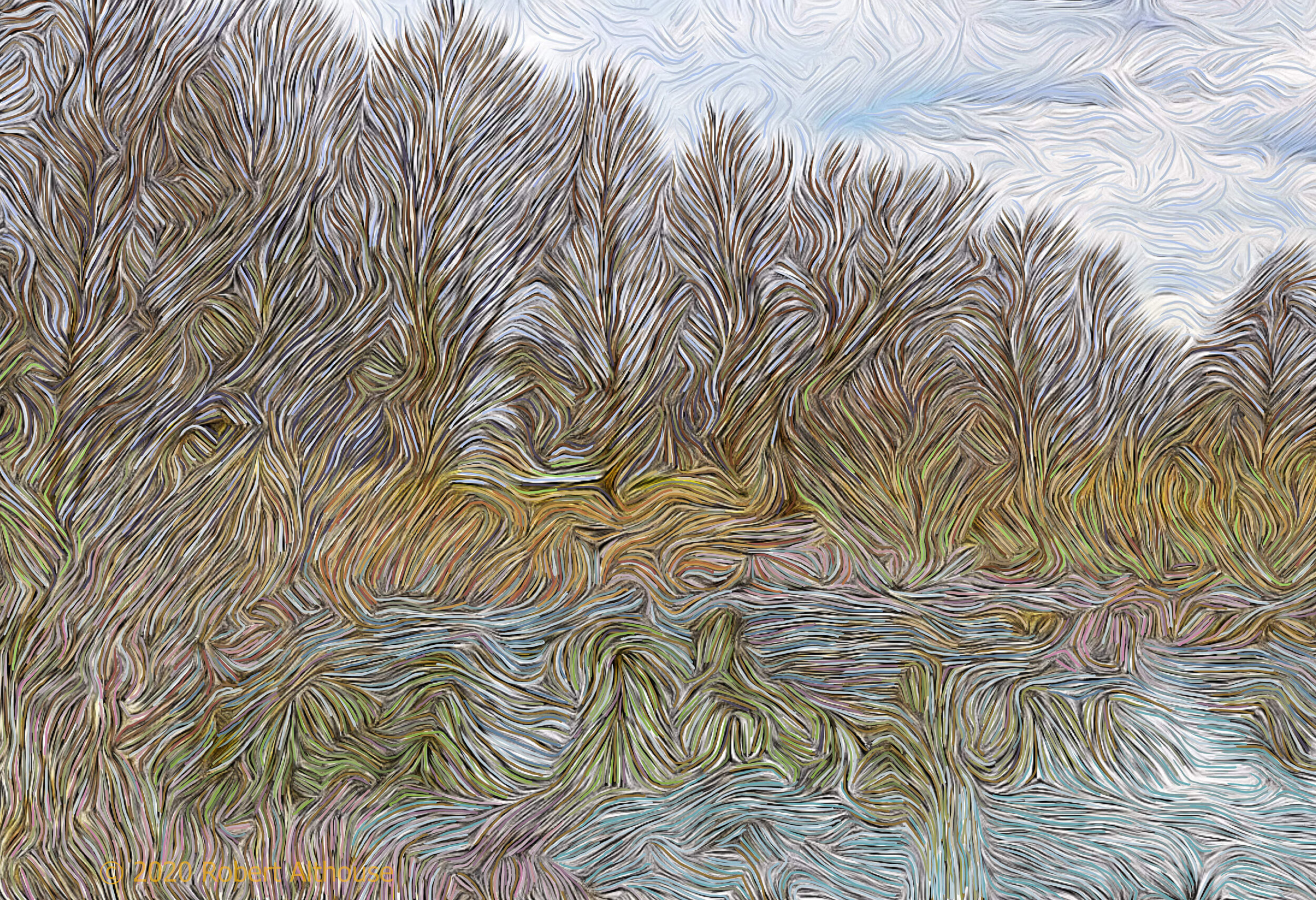 Morton Arboretum, IL