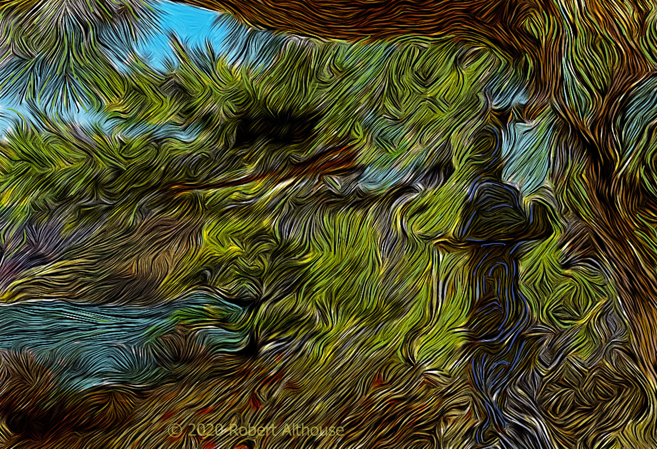 Japanese Garden