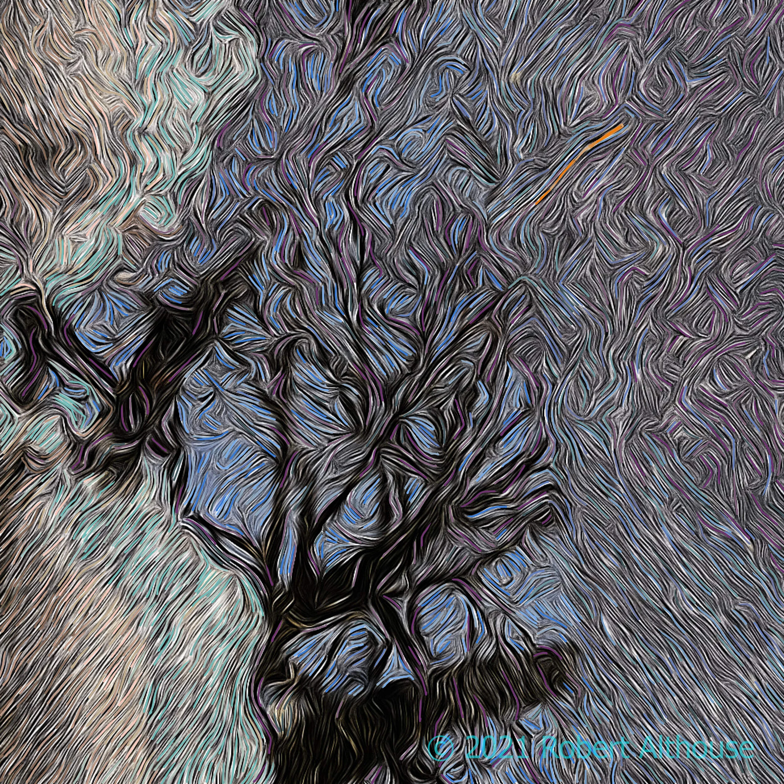 13_001-web-ps.jpg
